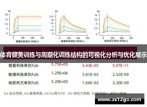 体育健美训练与周期化训练结构的可视化分析与优化展示