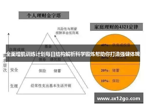 全面增肌训练计划每日结构解析科学锻炼帮助你打造强健体魄